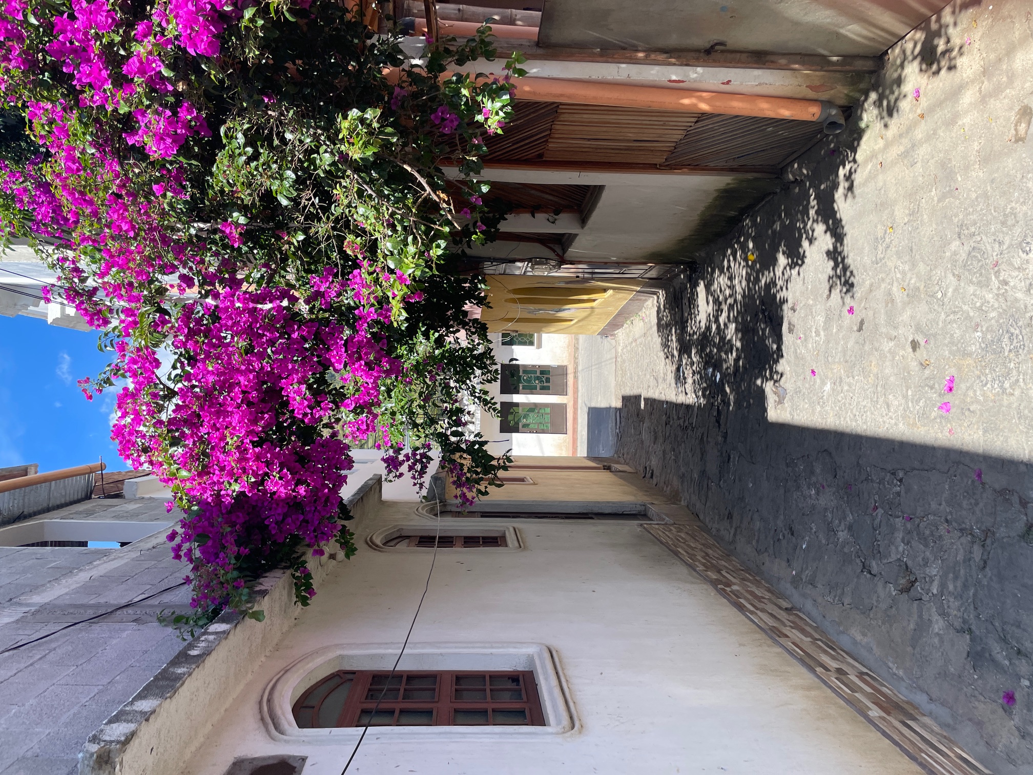 Goodbye 2023 ... Summary, Resolutions, Update, & Great Pics!