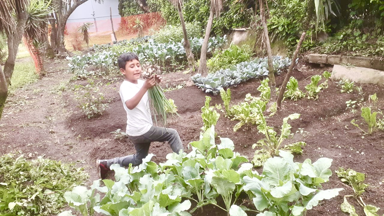 Praises & 1 B-I-G Request!